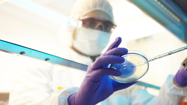 Covid-19 : 24 nouvelles contaminations enregistrées. Covid-19 : 24 nouvelles contaminations enregistrées.