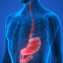 Virus oncogènes et cancer de l’œsophage Virus oncogènes et cancer de l’œsophage
