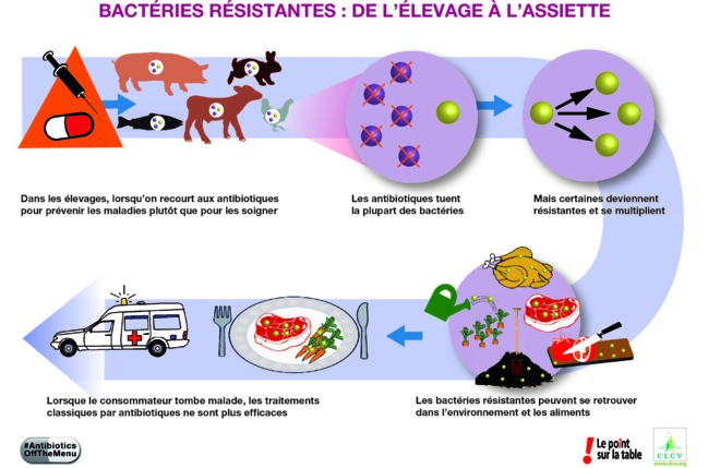 Contamination environnementale : les enjeux de l’antibiorésistance Contamination environnementale : les enjeux de l’antibiorésistance