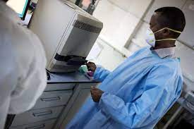 Innovation : des cellules souches au service du cerveau Innovation : des cellules souches au service du cerveau