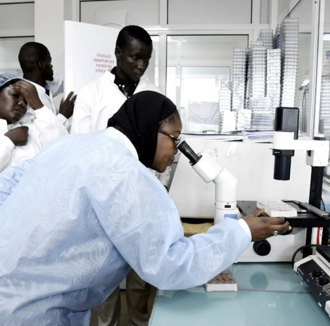Innovation : des cellules souches au service du cerveau Innovation : des cellules souches au service du cerveau