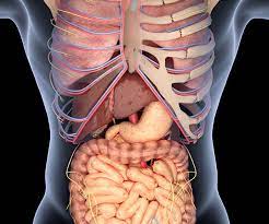 Le carcinome hépatocellulaire en Polynésie française