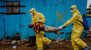 Ebola : l’Organisation Mondiale de la Santé (OMS) recommande de nouveaux traitements