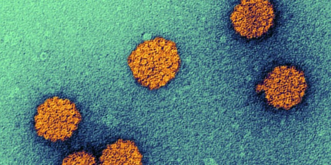 Prévention du cancer du col de l’utérus : les raisons d’un échec Prévention du cancer du col de l’utérus : les raisons d’un échec