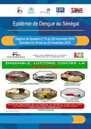 Vingt-deux cas de dengue signalés à Rosso-Sénégal