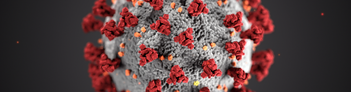 COVID-19: l’EMA valide le principe du rappel vaccinal hétérologue COVID-19: l’EMA valide le principe du rappel vaccinal hétérologue