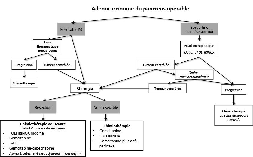 Cancer du pancréas : l’inhibition de l’angiotensine est associée à un bénéfice de survie significatif Cancer du pancréas : l’inhibition de l’angiotensine est associée à un bénéfice de survie significatif