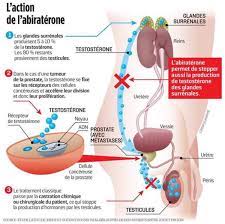 Cancer du sein : inhibiteur de l’aromatase en pré-ménopause, intérêt sous certaines conditions