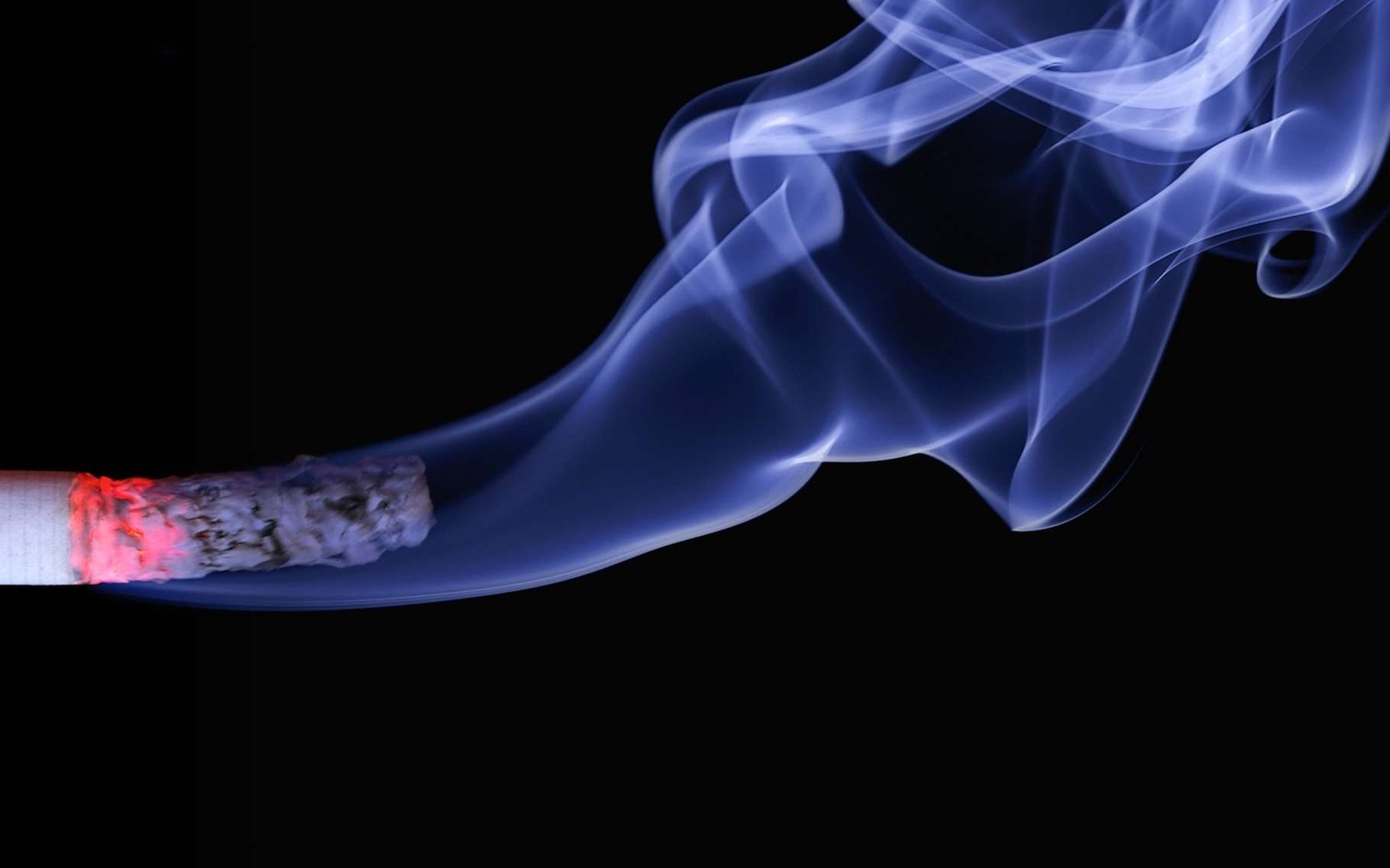 Huit nouveaux agents ont été ajoutés à la liste des cancérogènes pour l’Homme Huit nouveaux agents ont été ajoutés à la liste des cancérogènes pour l’Homme