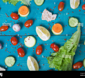  Dopamine – leptine : qui contrôle (vraiment) la prise alimentaire ?