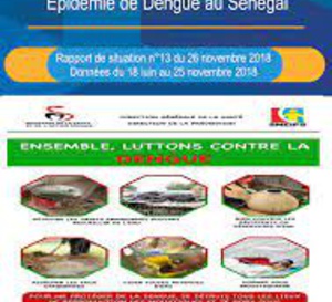 Vingt-deux cas de dengue signalés à Rosso-Sénégal