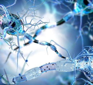 Nouvelle directive de consensus sur l'utilisation de l'IRM clinique dans la sclérose en plaques