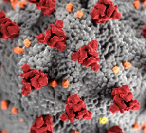 COVID-19: l’EMA valide le principe du rappel vaccinal hétérologue