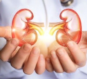 Maladie rénale chronique : bilan mitigé avant l’initiation du forfait MRC