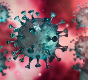 Coronavirus : les cas décès augmentent.