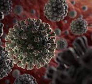 Le Sars-Cov-2 réveille des rétrovirus androgènes endormis dans notre génome.