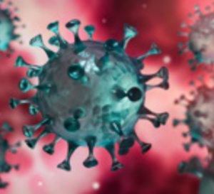 COVID-19: DIMINUTION DES MALADES ADMIS EN RÉANIMATION.