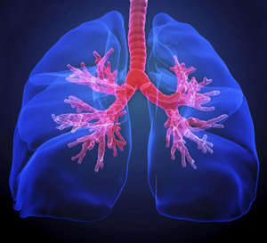 Des chercheurs de Toronto sont parvenus à modifier le groupe sanguin des poumons d'un donneur pour en faire des "poumons universels".