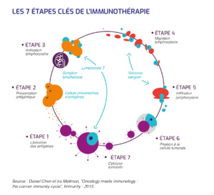 Une approche originale d’immunothérapie