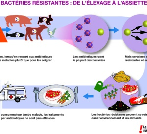 Contamination environnementale : les enjeux de l’antibiorésistance