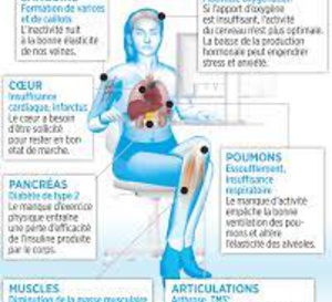 Chez les survivants d’un cancer, la sédentarité est associée à un risque de mortalité plus élevé