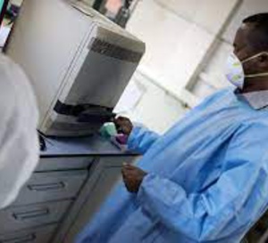 Innovation : des cellules souches au service du cerveau