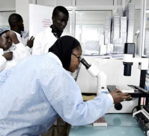 Innovation : des cellules souches au service du cerveau