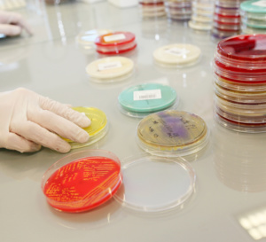 Médicaments et microbiote, données inédites …