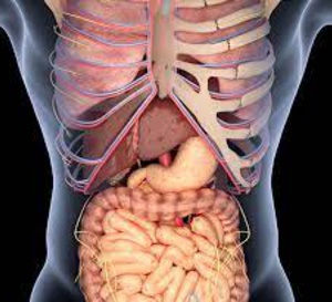 Le carcinome hépatocellulaire en Polynésie française