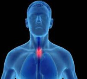 Pourquoi les hommes sont-ils exposés à un risque plus élevé que les femmes pour la majorité des cancers ?