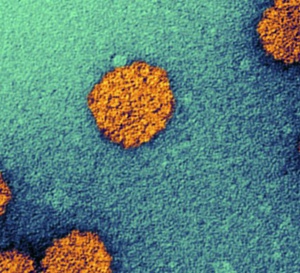 Prévention du cancer du col de l’utérus : les raisons d’un échec