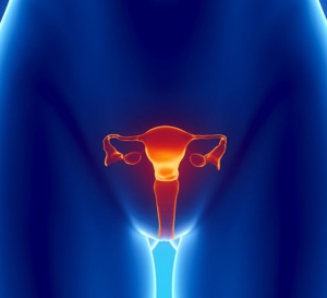 Cancer du col de l'utérus : qu'est ce qu'un frottis de dépistage ?