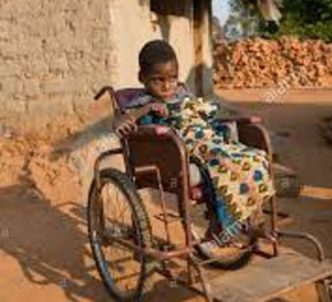 Santé : des chercheurs identifient le neurone qui rétablit la marche après une paralysie