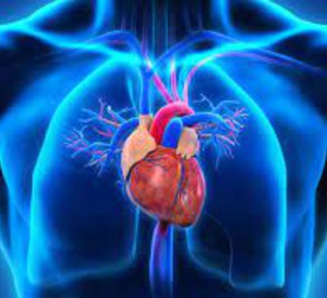 Ne pas négliger la carence en fer des insuffisants cardiaques