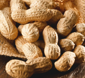 Allergie à l’arachide : efficacité des patchs de désensibilisation chez les moins de 4 ans