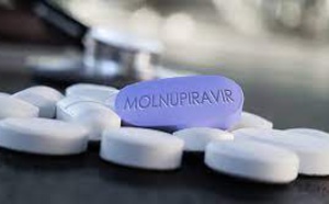Molnupiravir : vers un premier traitement antiviral oral contre le COVID-19 ?