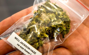 Consommation de cannabis courante pour la spasticité liée à la SEP
