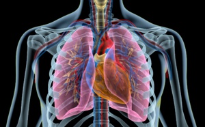 Cancer bronchique en 2020 : nouveaux résultats d'une cohorte unique au monde