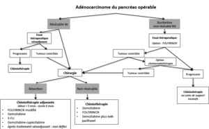 Cancer du pancréas : l’inhibition de l’angiotensine est associée à un bénéfice de survie significatif Cancer du pancréas : l’inhibition de l’angiotensine est associée à un bénéfice de survie significatif