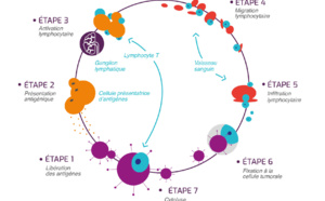 Une approche originale d’immunothérapie