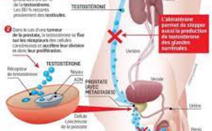 Cancer du sein : inhibiteur de l’aromatase en pré-ménopause, intérêt sous certaines conditions