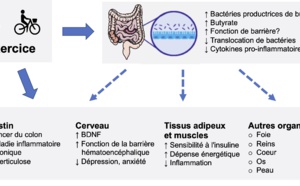 Un microbiome et un métabolome spécifiques chez les patients coronariens