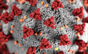 COVID-19 : DEUX NOUVELLES INFECTIONS DÉCLARÉES