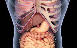 Le carcinome hépatocellulaire en Polynésie française