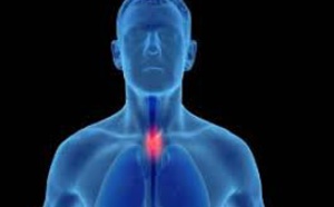 Pourquoi les hommes sont-ils exposés à un risque plus élevé que les femmes pour la majorité des cancers ?