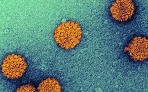 Prévention du cancer du col de l’utérus : les raisons d’un échec Prévention du cancer du col de l’utérus : les raisons d’un échec