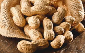 Allergie à l’arachide : efficacité des patchs de désensibilisation chez les moins de 4 ans