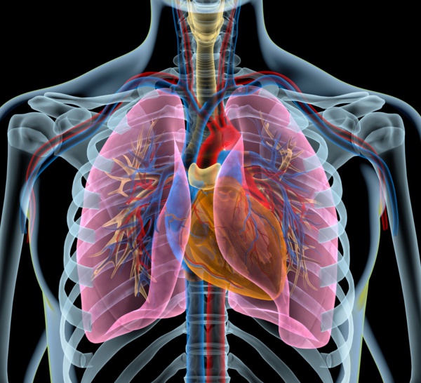 Cancer bronchique en 2020 : nouveaux résultats d'une cohorte unique au monde