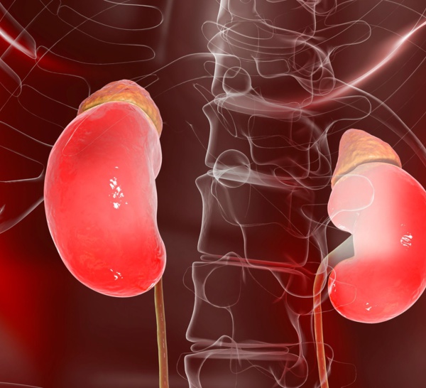 Quels sont les patients les plus à risque d’insuffisance rénale chronique après un épisode aigu ?