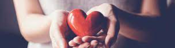 fraction de Lp(a). Deux entités à isoler pour une future médecine personnalisée